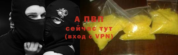 гидра Алексеевка