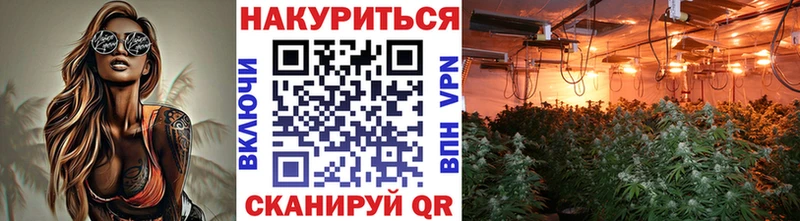 сколько стоит  Братск  Шишки марихуана ГИДРОПОН 
